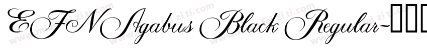 EFN Agabus Black Regular字体转换